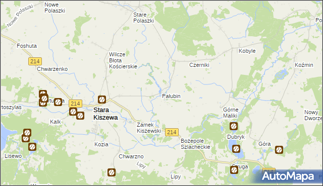 mapa Pałubin, Pałubin na mapie Targeo