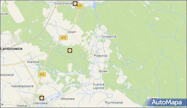 mapa Przechód gmina Korfantów, Przechód gmina Korfantów na mapie Targeo