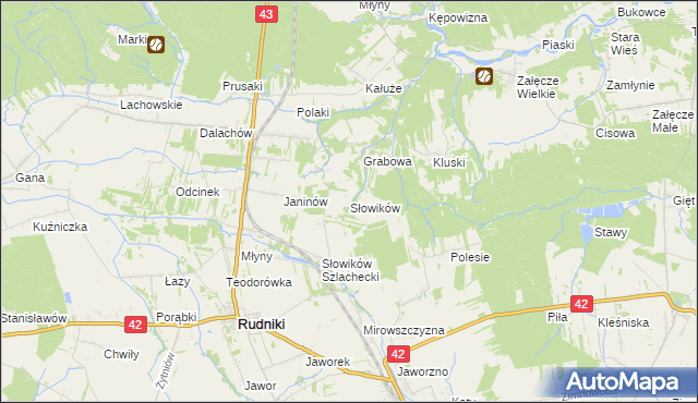 mapa Słowików gmina Rudniki, Słowików gmina Rudniki na mapie Targeo