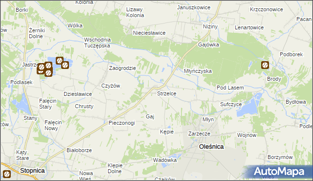 mapa Strzelce gmina Oleśnica, Strzelce gmina Oleśnica na mapie Targeo