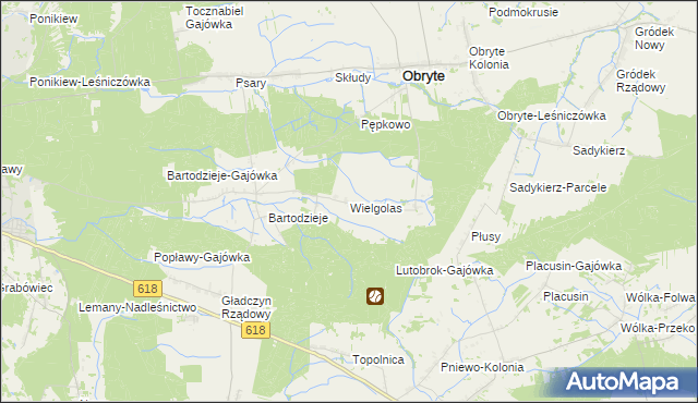 mapa Wielgolas gmina Obryte, Wielgolas gmina Obryte na mapie Targeo