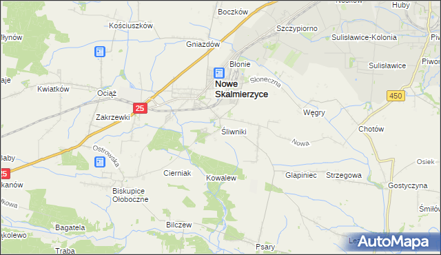 mapa Śliwniki gmina Nowe Skalmierzyce, Śliwniki gmina Nowe Skalmierzyce na mapie Targeo