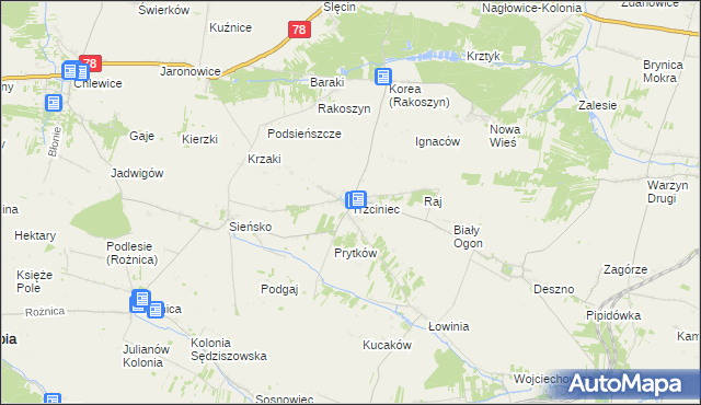 mapa Trzciniec gmina Nagłowice, Trzciniec gmina Nagłowice na mapie Targeo