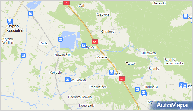 mapa Zalesie gmina Dobrzyniewo Duże, Zalesie gmina Dobrzyniewo Duże na mapie Targeo
