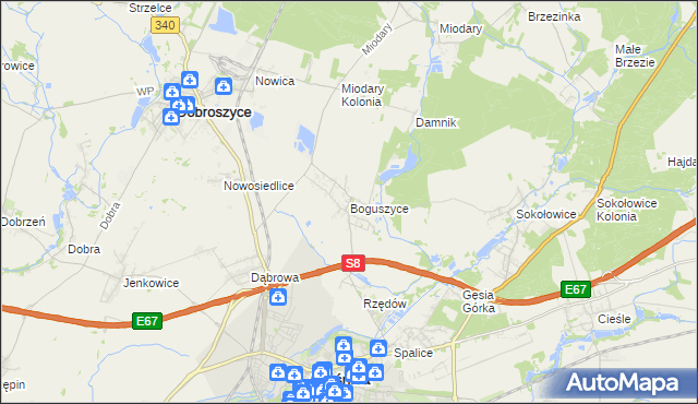 mapa Boguszyce gmina Oleśnica, Boguszyce gmina Oleśnica na mapie Targeo