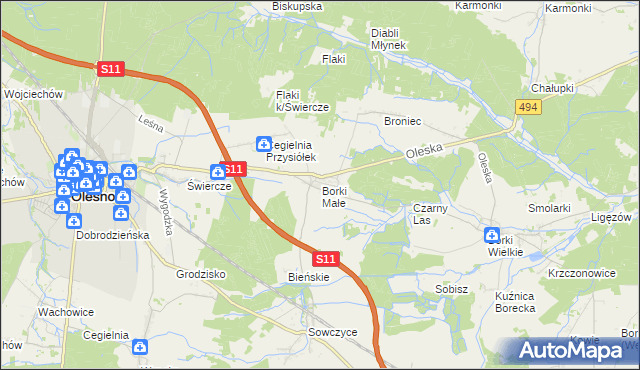 mapa Borki Małe gmina Olesno, Borki Małe gmina Olesno na mapie Targeo