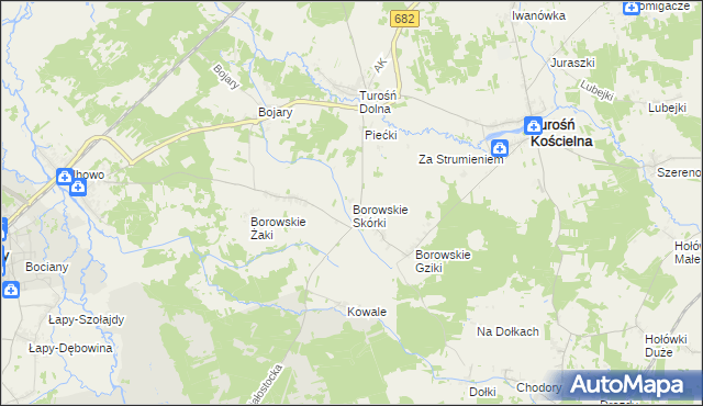 mapa Borowskie Skórki, Borowskie Skórki na mapie Targeo