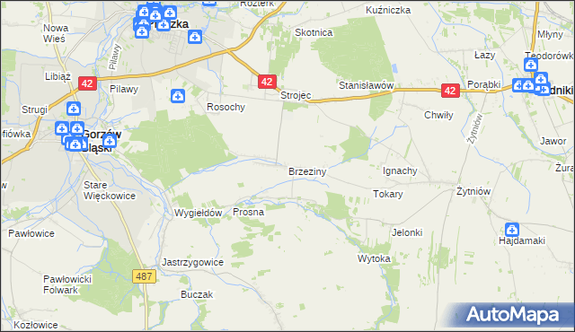 mapa Brzeziny gmina Praszka, Brzeziny gmina Praszka na mapie Targeo