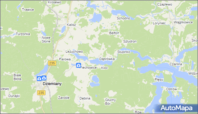 mapa Dąbrówka gmina Dziemiany, Dąbrówka gmina Dziemiany na mapie Targeo