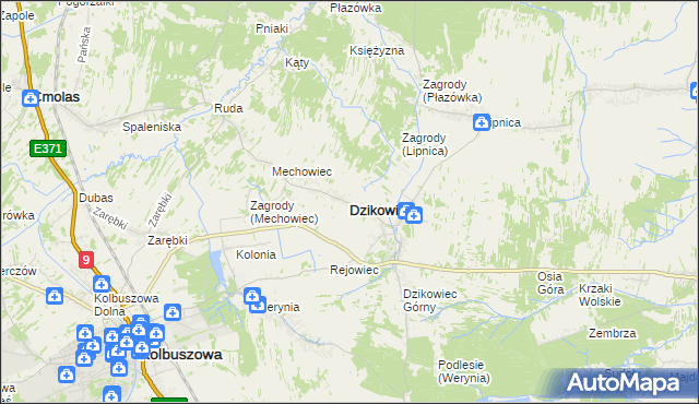 mapa Dzikowiec powiat kolbuszowski, Dzikowiec powiat kolbuszowski na mapie Targeo