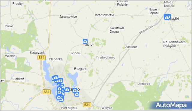 mapa Frydrychowo gmina Ryńsk, Frydrychowo gmina Ryńsk na mapie Targeo