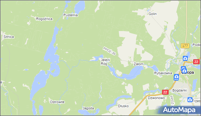 mapa Jeleni Róg gmina Człopa, Jeleni Róg gmina Człopa na mapie Targeo