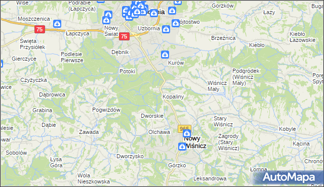 mapa Kopaliny gmina Nowy Wiśnicz, Kopaliny gmina Nowy Wiśnicz na mapie Targeo