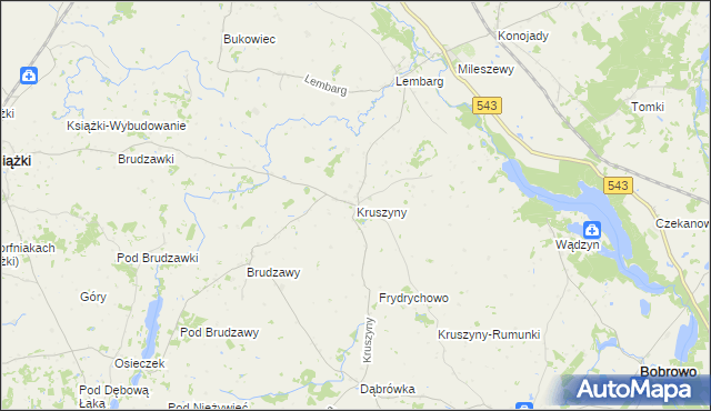 mapa Kruszyny gmina Bobrowo, Kruszyny gmina Bobrowo na mapie Targeo