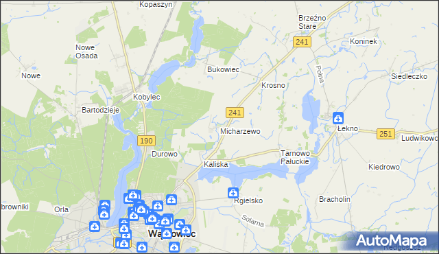 mapa Micharzewo, Micharzewo na mapie Targeo