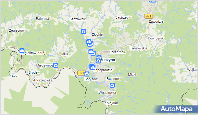 mapa Muszyna, Muszyna na mapie Targeo