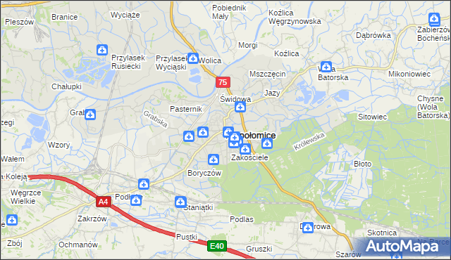 mapa Niepołomice, Niepołomice na mapie Targeo