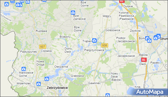 mapa Pielgrzymowice gmina Pawłowice, Pielgrzymowice gmina Pawłowice na mapie Targeo