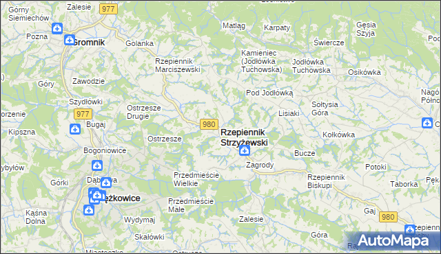 mapa Rzepiennik Strzyżewski, Rzepiennik Strzyżewski na mapie Targeo