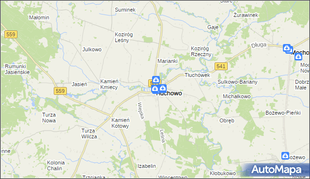 mapa Tłuchowo, Tłuchowo na mapie Targeo