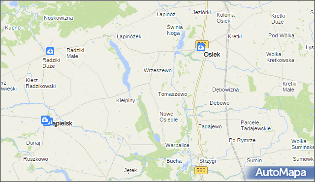 mapa Tomaszewo gmina Osiek, Tomaszewo gmina Osiek na mapie Targeo