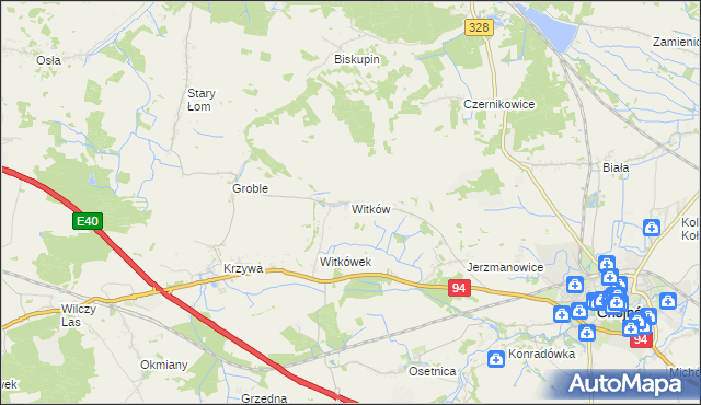 mapa Witków gmina Chojnów, Witków gmina Chojnów na mapie Targeo