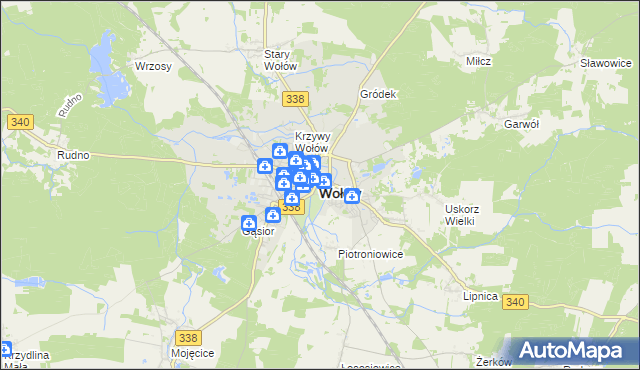 mapa Wołów, Wołów na mapie Targeo