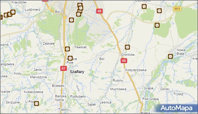 mapa Bór gmina Szaflary, Bór gmina Szaflary na mapie Targeo