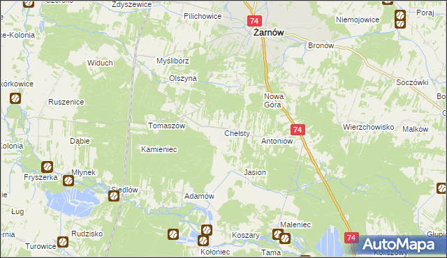 mapa Chełsty gmina Żarnów, Chełsty gmina Żarnów na mapie Targeo