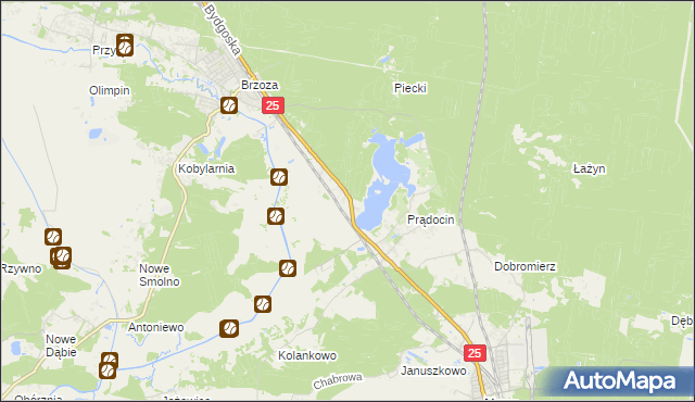 mapa Chmielniki gmina Nowa Wieś Wielka, Chmielniki gmina Nowa Wieś Wielka na mapie Targeo