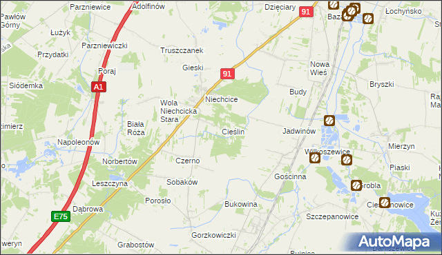 mapa Cieślin gmina Rozprza, Cieślin gmina Rozprza na mapie Targeo