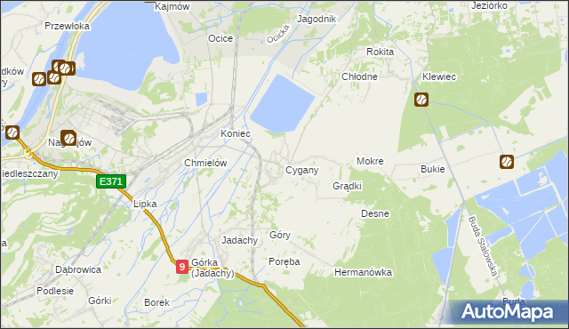 mapa Cygany gmina Nowa Dęba, Cygany gmina Nowa Dęba na mapie Targeo