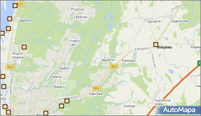 mapa Jagodnik gmina Milejewo, Jagodnik gmina Milejewo na mapie Targeo