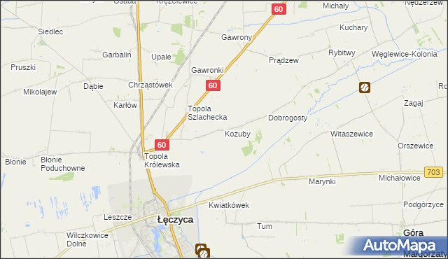 mapa Kozuby gmina Łęczyca, Kozuby gmina Łęczyca na mapie Targeo