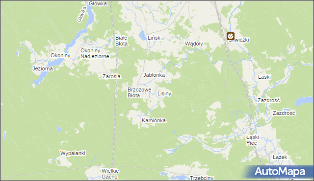 mapa Lisiny gmina Śliwice, Lisiny gmina Śliwice na mapie Targeo