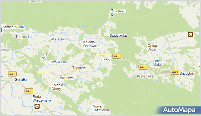 mapa Obory gmina Gizałki, Obory gmina Gizałki na mapie Targeo