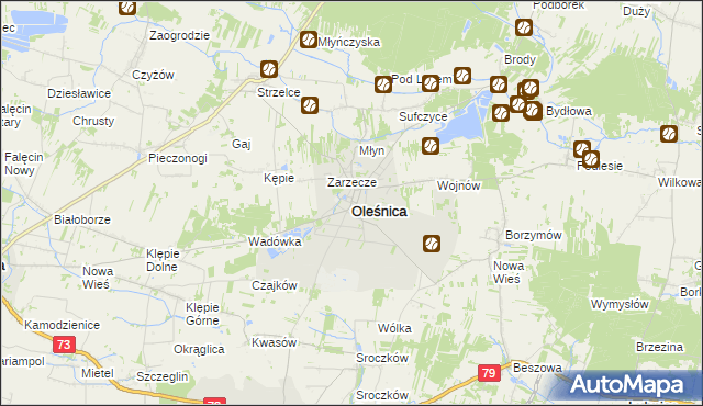 mapa Oleśnica powiat staszowski, Oleśnica powiat staszowski na mapie Targeo