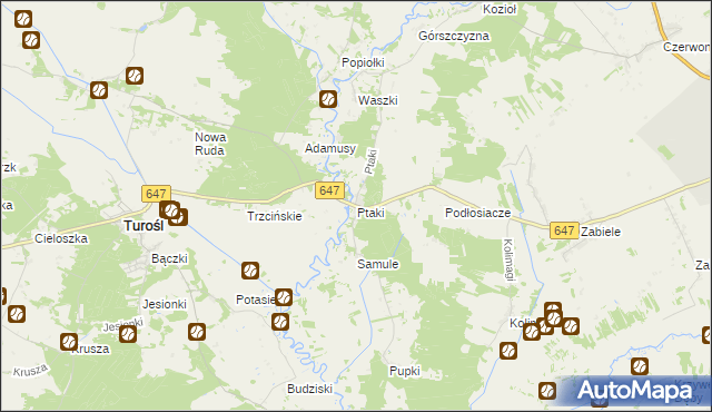 mapa Ptaki gmina Turośl, Ptaki gmina Turośl na mapie Targeo