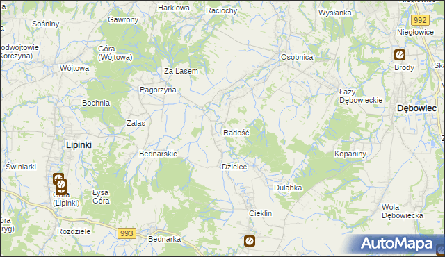 mapa Radość gmina Dębowiec, Radość gmina Dębowiec na mapie Targeo