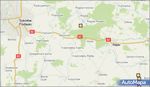 mapa Remiszew Duży, Remiszew Duży na mapie Targeo