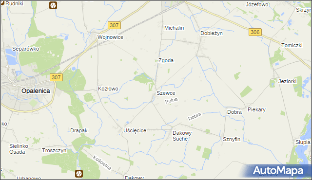 mapa Szewce gmina Buk, Szewce gmina Buk na mapie Targeo