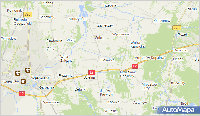 mapa Bielowice gmina Opoczno, Bielowice gmina Opoczno na mapie Targeo