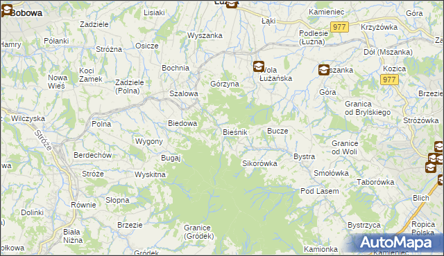 mapa Bieśnik gmina Łużna, Bieśnik gmina Łużna na mapie Targeo