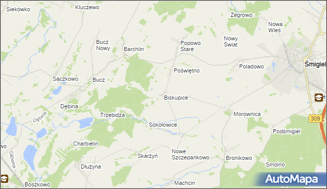 mapa Biskupice gmina Przemęt, Biskupice gmina Przemęt na mapie Targeo