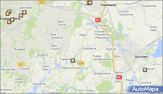 mapa Golasowice, Golasowice na mapie Targeo