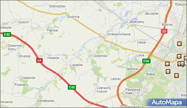 mapa Goślinów, Goślinów na mapie Targeo