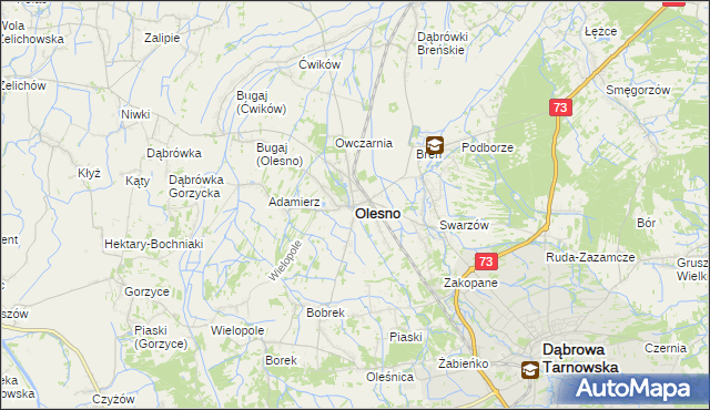mapa Olesno powiat dąbrowski, Olesno powiat dąbrowski na mapie Targeo