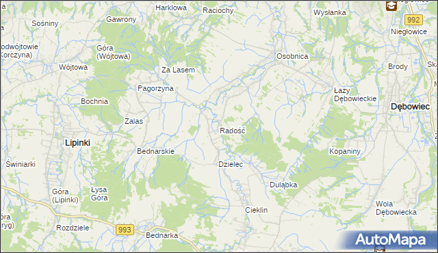 mapa Radość gmina Dębowiec, Radość gmina Dębowiec na mapie Targeo