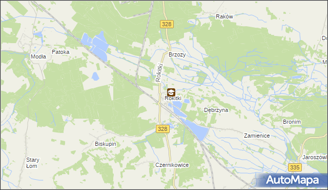 mapa Rokitki gmina Chojnów, Rokitki gmina Chojnów na mapie Targeo