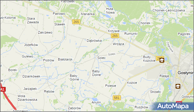 mapa Solec gmina Gostynin, Solec gmina Gostynin na mapie Targeo